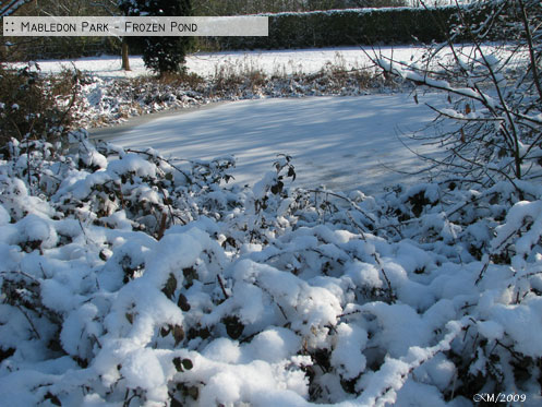 :: Mabledon Park —  Frozen Pond - KM/2009